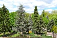 Apartamento en Avenida Quevedo - B&B León