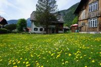 Apartment Haider 1 - Ferienwohnung Obertraun