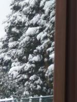 Studio with Balcony and Mountain View