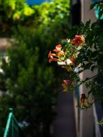Apartamento con terraza 