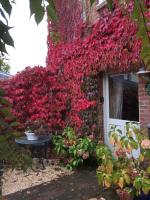 The Dovecote, Stoke Farthing Courtyard - B&B