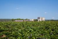Family Room with Private Bathroom