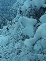 Dreibettzimmer mit Badewanne