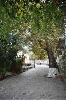 Christos Raches traditional houses - B&B