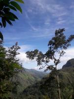 Saveen View Ella - B&B Ella Town