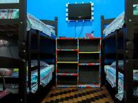 Bunk Bed in Mixed Dormitory Room