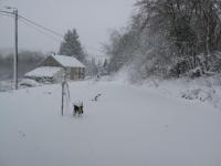 Standard Double Room with Shared Bathroom