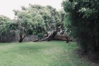 Red ceder cottage - Great ocean road - Port Campbell - Bed and Breakfast