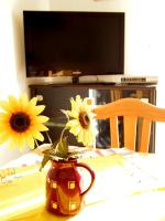 Appartamento con 1 Camera da Letto, Divano-Letto e Balcone