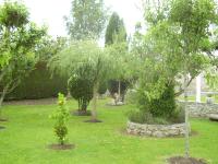 El Magnolio - B&B Santillana