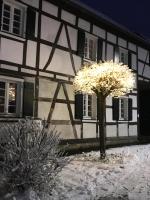 Sonnige Fachwerkwohnung - B&B