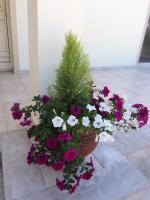 Three-Bedroom Villa with Private Pool