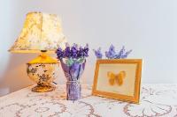 Vintage Apartment 2 rooms with Balcony - B&B Leopoli