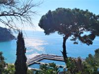 Papaya - B&B Lloret de Mar