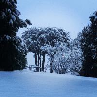Venegoni Maison De Charme - Ferienwohnung Ghiffa