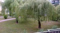 Zielona Herbowa - Ferienwohnung
