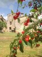 La Canonica Di San Michele - Ferienwohnung Monteriggioni