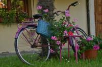 B&B Al Mare Di Greis - B&B Lido Adriano