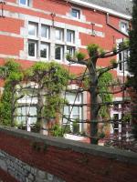 Tweepersoonskamer met 1 of 2 Bedden en Uitzicht op de Tuin