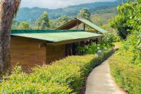 Ecolodge Rain - B&B Pedregoso