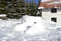 Apartment mit 2 Schlafzimmern