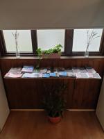 Tweepersoonskamer met 1 of 2 Bedden en Gedeelde Badkamer
