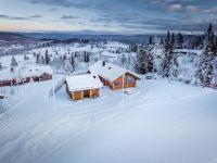 Chalet mit 1 Schlafzimmer