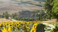 "La Casa degli ulivi Art B&B" - Chambres d’hôtes