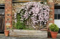 Brook Farmhouse - B&B Exeter