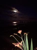 Camera Matrimoniale con Letto a Baldacchino