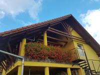 Hazanéző Panzió - Bed and Breakfast Corund