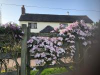 Shirley Lane - B&B