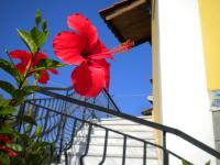 Estudio Estándar con vistas al mar 