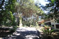 Villa alla Baia d'argento - B&B Sabaudia
