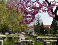 Апартамент 13 - B&B Hisarya