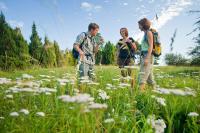 B&B Wißmannsdorf - Nengshof Ferienhäuser Sonnenblume und Heublume - Bed and Breakfast Wißmannsdorf