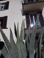 Flora - Ferienwohnung