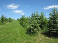 BURDANÓWKA - Ferienwohnung Skierbieszów