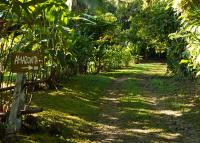 Amazonita Ecolodge - Bed and Breakfast Dos Brazos