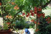Chambre dans ancienne Ferme rénovée - B&B Eteimbes
