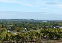 Clos sainte catherine - B&B Rochefort-sur-Loire