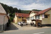 Pensiunea Domnescu - Chambres d'hôtes Sălişte