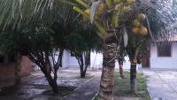 Casa de praia em Atalaia - B&B