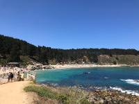 Acogedora casa cerca del Bosque El Canelo - B&B Algarrobo