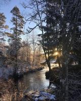 Twin Room with Shared Bathroom