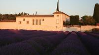 Le Mas Des Sorcières - Maison d'hôtes - B&B