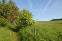 Banbury Hill Farm - Bed and Breakfast