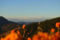 MUSKOTIA Independent Cottages - B&B Nainital