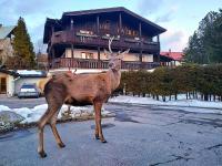 Penzion Pažický - Ferienwohnung Tatranska Lomnica