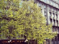 Supreme Palace Cube - B&B Belgrado